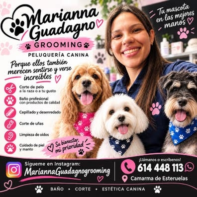 servicio de peluquería canina