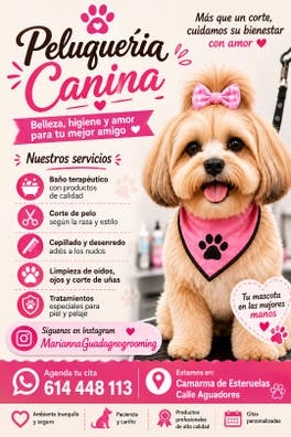 servicio de peluquería canina