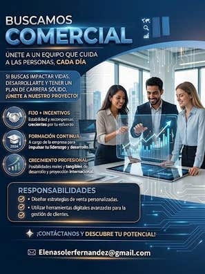 Asesor Comercial