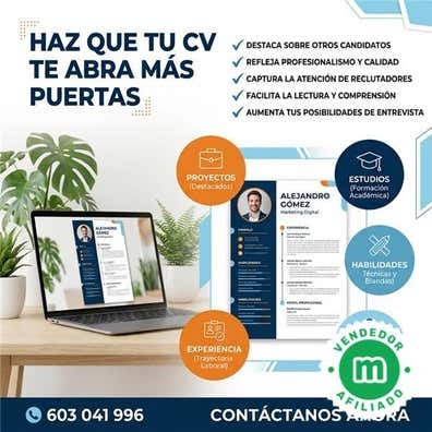 curriculum profesionales