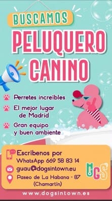 Peluquero Canino