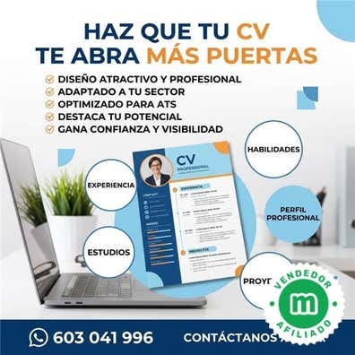 curriculum pdf