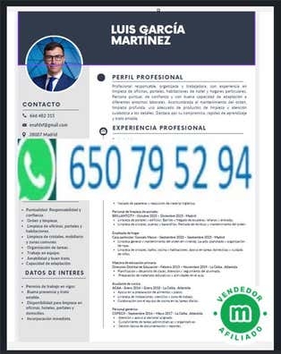CREAMOS CURRÍCULUM TRABAJO REPARTO