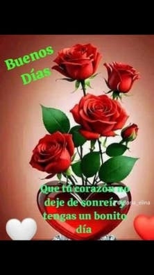 Necesito una señora Interna