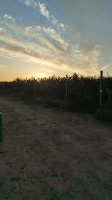 Venta de manzanas para industria