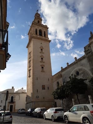 COMPAÑERO DE ALBAÑILERÍA LEBRIJA