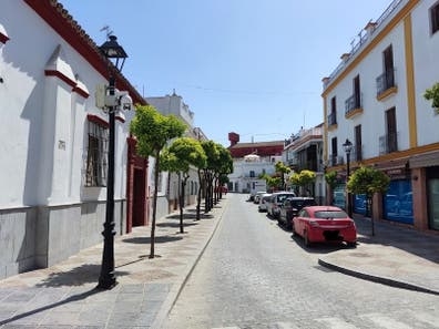 COMPAÑERO DE ALBAÑILERÍA LEBRIJA