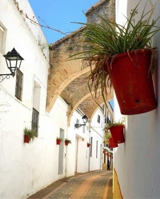 COMPAÑERO DE ALBAÑILERÍA LEBRIJA