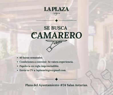 Se busca Camarero/a. en Salas Asturias.