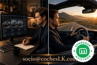 BUSCAMOS IMPORTADOR/A DE COCHES ALEMANIA