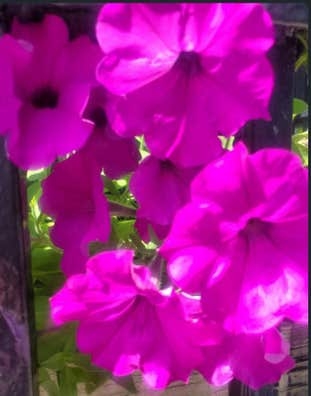 Interna Pozuelo con cuidado de niños