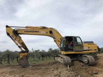 Maquinista dumper giratoria y carrilero