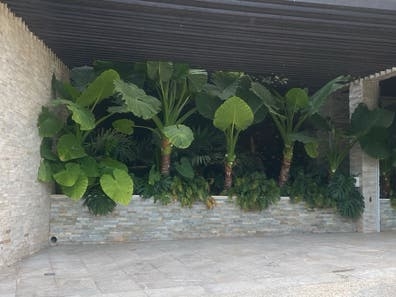 JARDINERO