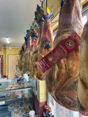 Busco cortador-carnicero.