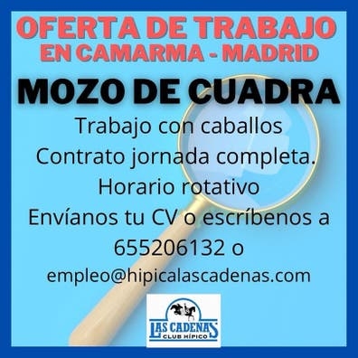 Mozo de cuadra