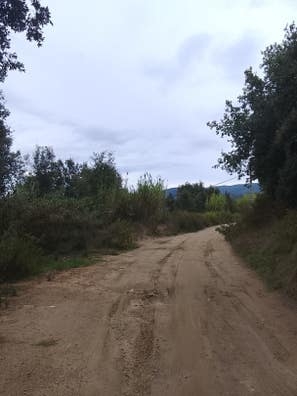 chica interna para cuidados de una masía