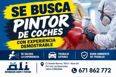 SE BUSCA PINTOR CHAPA Y PINTURA