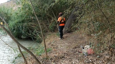 Peon capataz trabajos forestales desbroc