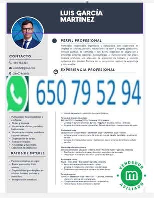 CREAMOS CURRICULUM CAMARERO