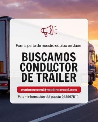 TRANSPORTISTA DE TRÁILER
