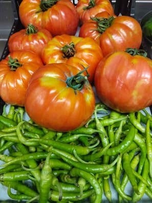 Puesto de cocinero