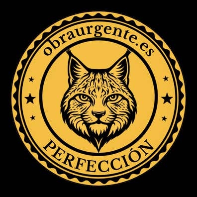 Oficial de 1º de albañilería