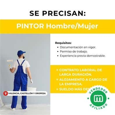 PINTOR/A DE OBRA