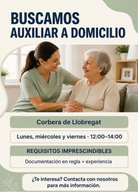 Auxiliar de ayuda a domicilio