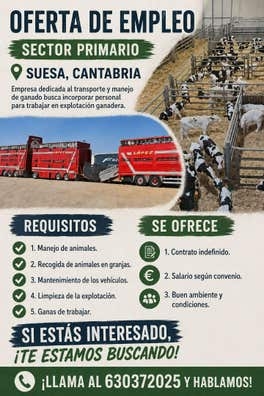 recogida de terneros y vacas en granjas
