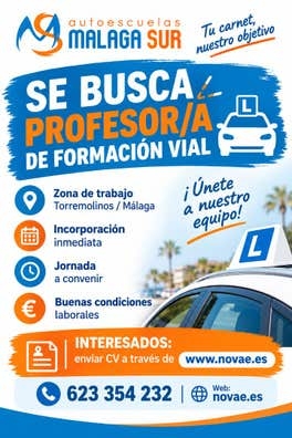 PROFESOR DE FORMACIÓN VIAL