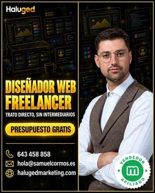 DISEÑADOR WEB FREELANCER DISEÑADOR WEB