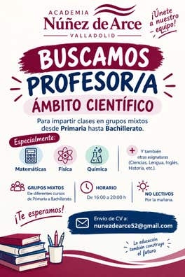 Profesor/a Academia