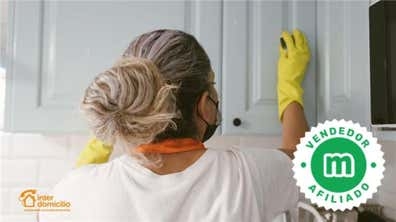 SERVICIO DOMESTICO POR HORAS EN EMPRESA