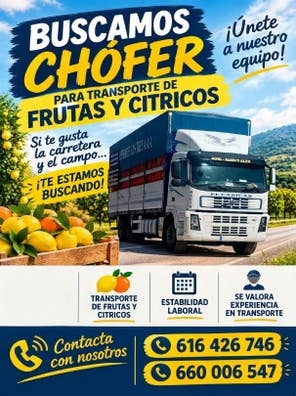SE BUSCA CHOFER CARNET "C"