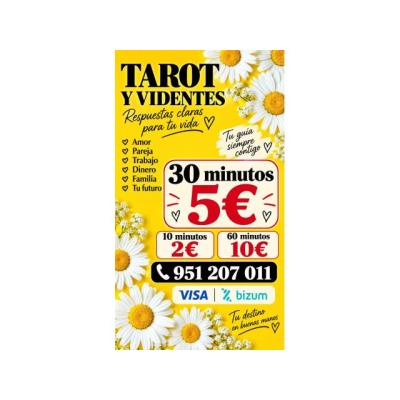 TAROT VIDENCIA 10 MIN 2€ VISA BIZUM PAYPAL