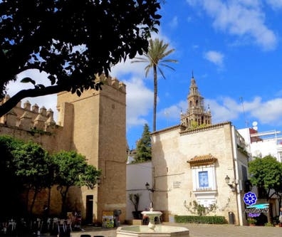 Se busca ayudante de camarero/a- SEVILLA