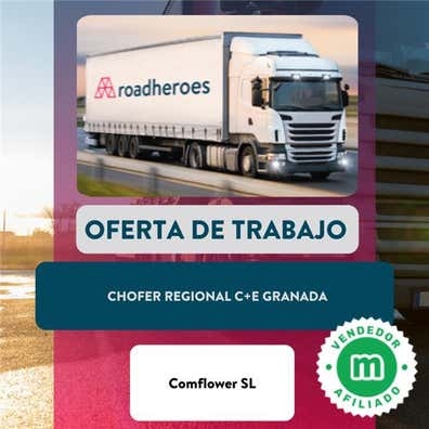 CHOFER REGIONAL C+E GRANADA