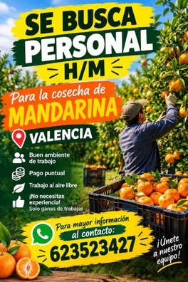 Busco personal en Valencia