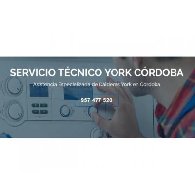 Servicio Técnico York Córdoba 957487014
